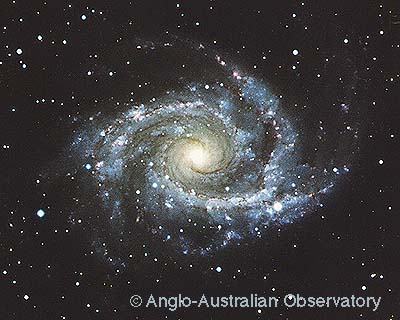 A spiral galaxy